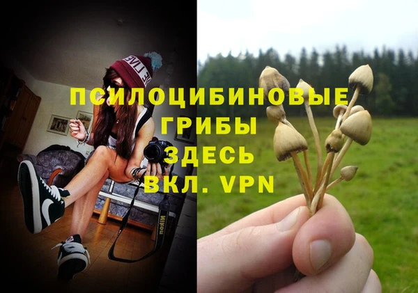 apvp Алексин