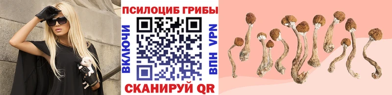 Галлюциногенные грибы GOLDEN TEACHER Канаш