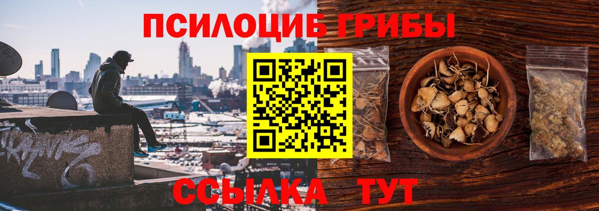 Псилоцибиновые грибы прущие грибы  Вход с VPN  Канаш  Галлюциногенные грибы Psilocybe 